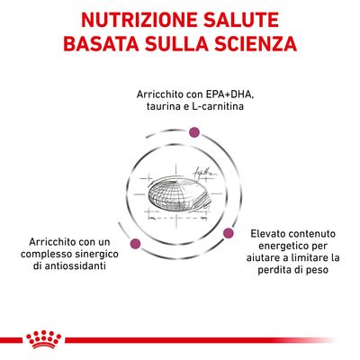 Royal Canin Cardiac 2kg - Crocchette per Cani Royal Canin Cardiac 2kg - Crocchette per Cani